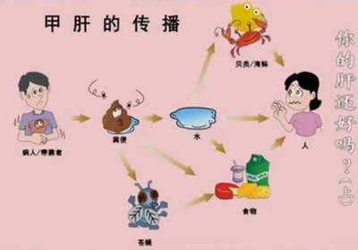 甲肝的治疗方法 甲肝能治好吗 甲肝的治疗方法