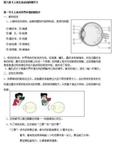 pep六年级下册知识点 人教pep版六年级英语下册知识点归纳总结