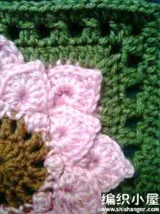 最漂亮水杯套的钩针法 .转  漂亮的鳄鱼花针法教程(有视频)