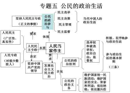 高中政治知识树 高中政治知识树，脉络清晰