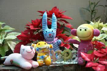 癌症病人可以吃南瓜吗 癌症病人可以吃南瓜吗 女性多吃南瓜可预防多种癌症