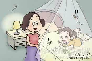 啤酒瓶 蚊子 一个啤酒瓶就能消灭家里所有蚊子，不信咱试试？