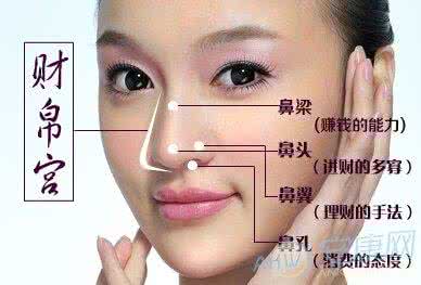 鼻子龙痣面相 鼻子面相图解 龙鼻面相图解