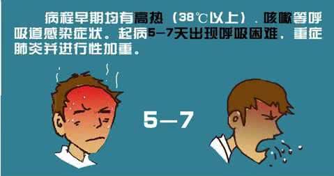 人感染禽流感症状 感染禽流感的症状 人感染禽流感症状 如何辨别禽流感