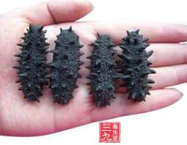 海参泡发过程 海参怎么发 切记五大过程