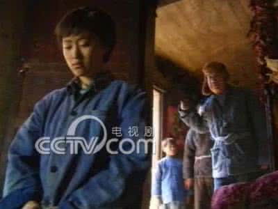 外来妹电视剧20集全集 电视剧《外来妹》   10集全