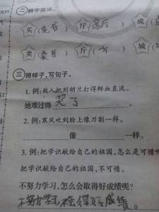 赞叹不已造句 赞叹不已造句？