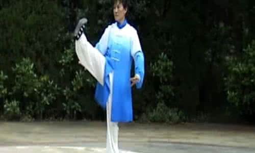 武当三丰太极拳 武当三丰太极拳28式 第八式 手挥琵琶 详解版