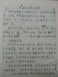 我最喜欢的动物 小学英语作文：我最喜欢的动物(双语)