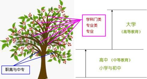 大学怎样认识学长学姐 怎样认识大学