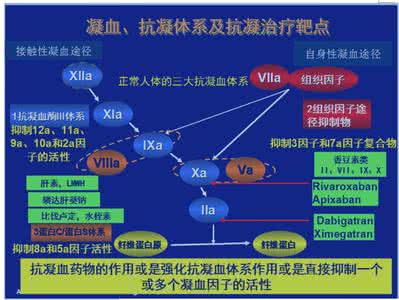 房颤抗凝治疗指南 高龄房颤抗凝治疗指南