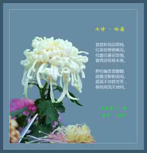 六朝云龙吟苏妲己菊肛 吟 菊