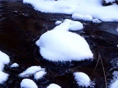 飘雪和对不起我爱你 缠绵的冬 飘雪的爱（冬之恋曲11首）