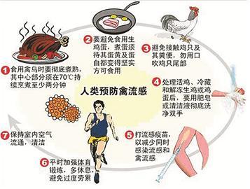 禽流感联防联控机制 强化工作机制 联防联控禽流感疫情