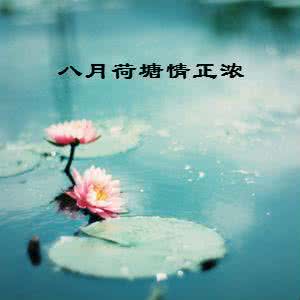 不以物喜 不以己悲 八月，独自悲喜