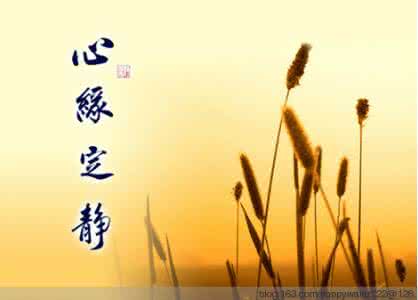 世界上最美的十封信 世界上最美的八封信!