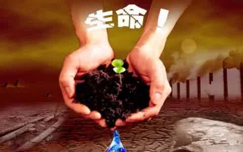 被证明人技术专长评述 你的专长,是不是被自己忽略了?
