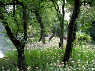 为何严禁转载sf轻小说 转载 关于写小说！