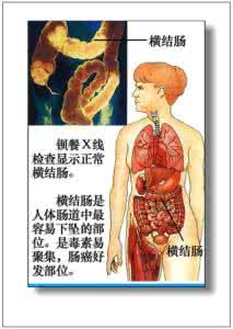 捐献器官的著名故事 《男女人体器官自述录》 美 J.D. 拉特克利夫著 贺天同译