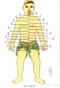 骨度分寸法歌诀 【图文版】十四经脉穴位分寸歌诀