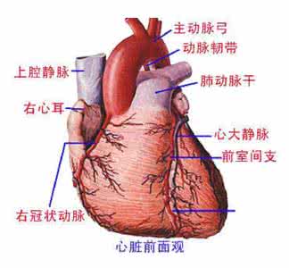婴儿先天性心脏病症状 成人先天性心脏病症状有什么