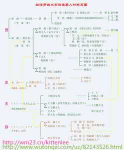 红楼梦人物关系图 《红楼梦》错综复杂的人物关系