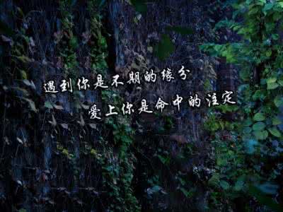 面朝大海春暖花开情感 爱上你，我的世界春暖花开【情感美文】