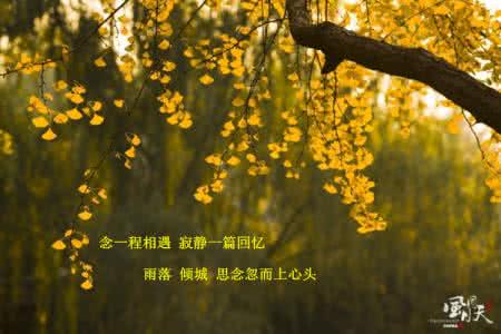 时光美文 时光未老，我们已散【情感美文】