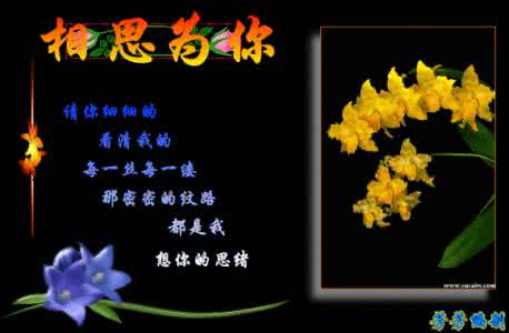 爱我的人和我爱的人 《相思只为你》--献给爱我的人和我所爱的人