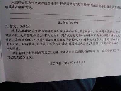 我的理想作文600字 理想是成功的奠基石作文500字