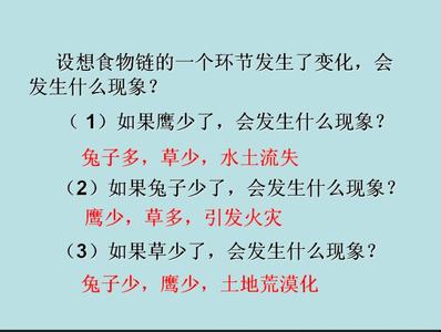 维护生态平衡教学反思 维护生态平衡教学反思 《维护消费者权益》--教学反思