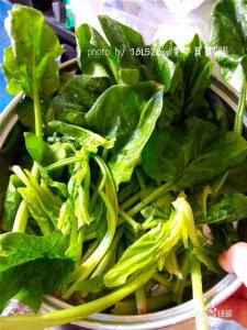 菠菜和虾皮能一起吃吗 菠菜和虾皮能一起吃吗 菠菜虾皮能一起吃吗?