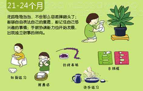 婴幼儿心理发展与教育 0-3岁婴幼儿心理动力发展图（父母珍藏版）