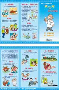 如何预防禽流感病毒 禽流感预防 7个方法抵御病毒来袭