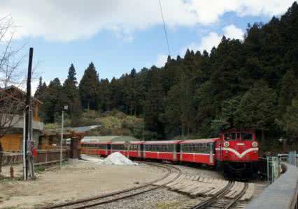 阿里山 台湾行（八）--阿里山