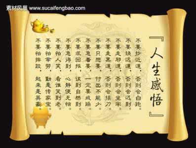 教师学习感悟集锦 生活感悟精彩集锦(三十七)