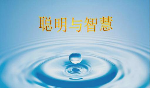 聪明与智慧的最大区别 聪明与智慧