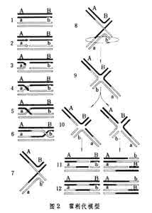 基因转变的孩子会怎样 基因转变