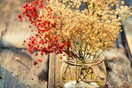 命里有时 命里有时 命里有时我相守,命里无时我不求!