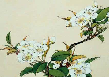 工笔花鸟画 工笔花鸟画 【天狼收藏】工笔花鸟-工笔梨花赏析