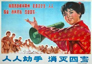假如麻雀是人呢？|重提'除四害'的麻雀冤案
