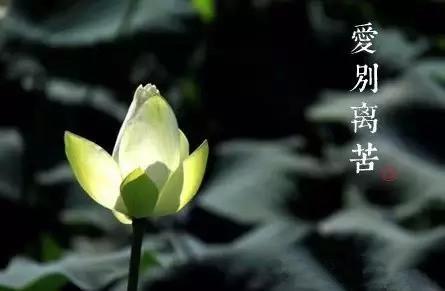 描写人生感悟的句子 人生感悟写的真好！