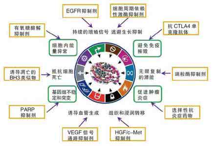 肿瘤细胞十大特征ppt 癌细胞十大特征
