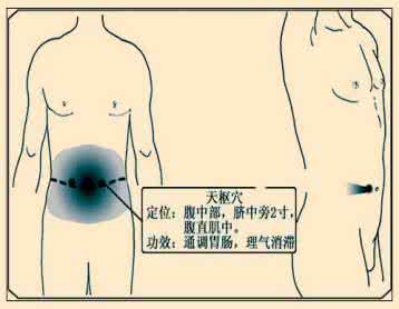 中医保健养生食疗 肠道养生 健康肠道保健养生三大法则