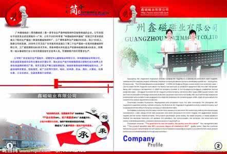 公司简介 公司简介(1)