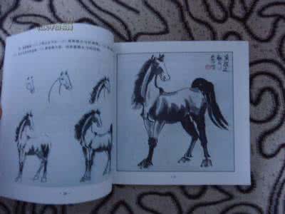 写意 动物画技法 写意动物画技法
