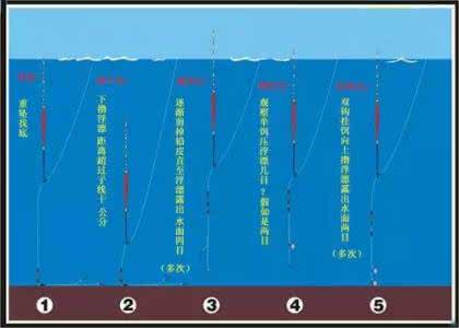 台钓 【转】三个步骤让你学会台钓的调钓