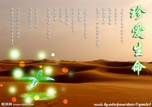 珍惜生命的手抄报图片 50种珍惜生命的态度（图）