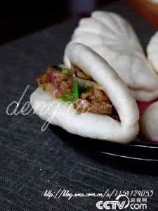荷叶饼 美食博客让我家的饮食多元化--荷叶饼夹孜然羊肉