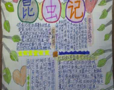 昆书记手抄报 昆虫记手抄报资料